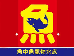 魚中魚